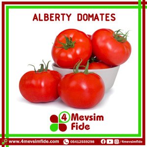 Alberty F1 Beef Domates Fidesi