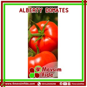 Alberty F1 Beef Domates Fidesi