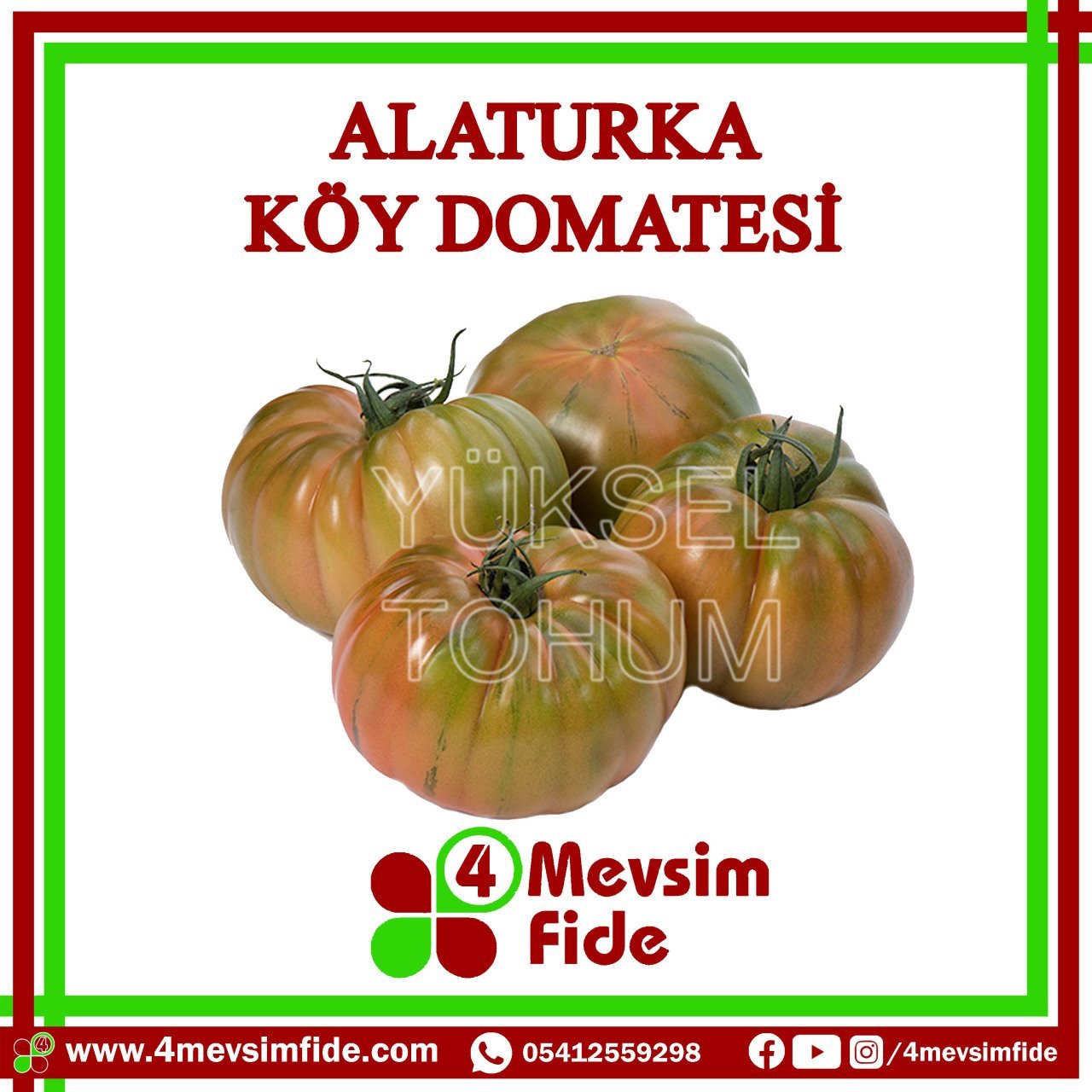 Alaturka F1 Sırık Köy Domates Fidesi