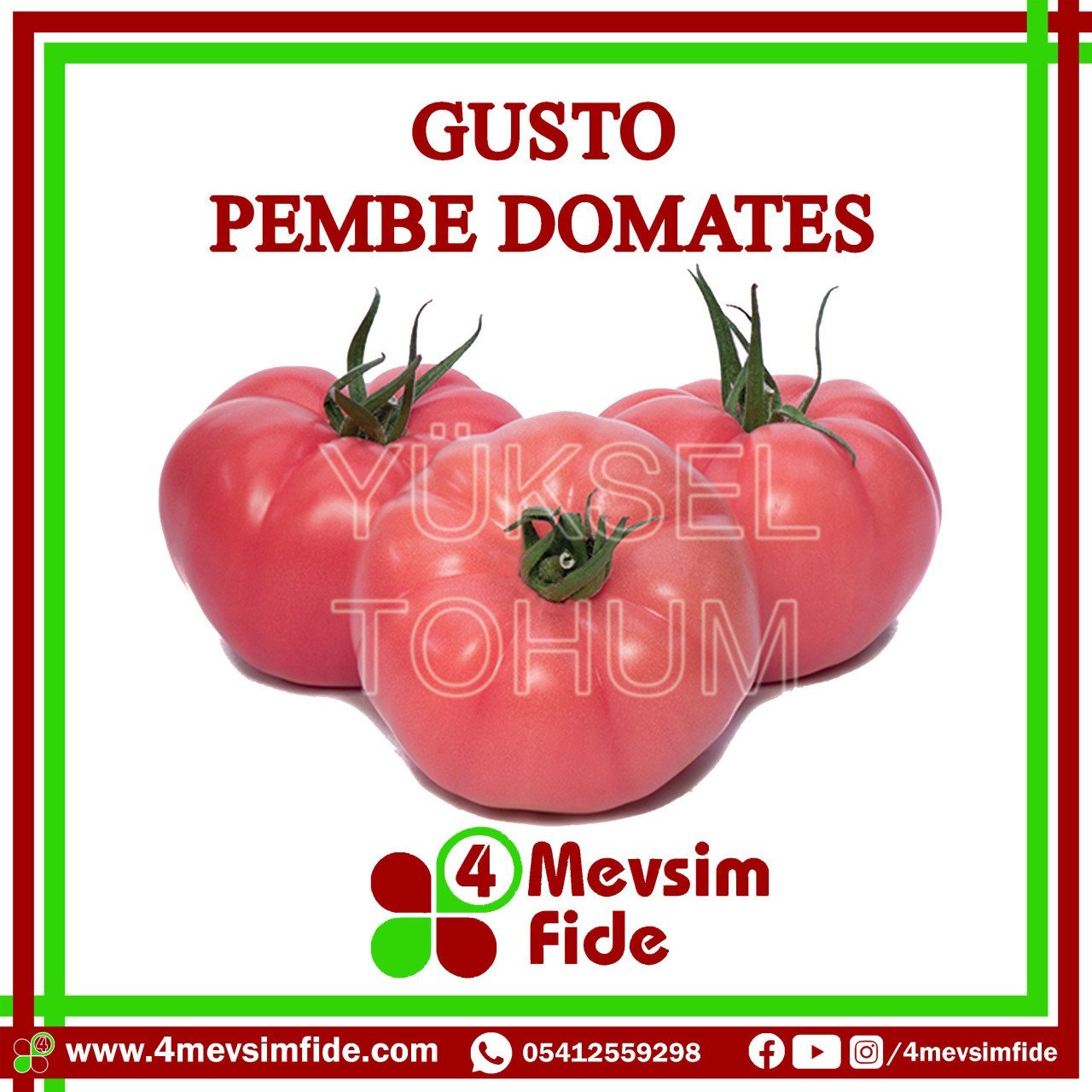 Gusto F1 Pembe Domates Fidesi