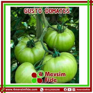 Gusto F1 Pembe Domates Fidesi