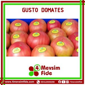 Gusto F1 Pembe Domates Fidesi