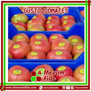 Gusto F1 Pembe Domates Fidesi