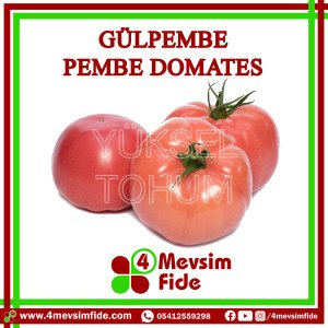 Gülpembe F1 Pembe Domates Fidesi