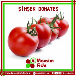 Şimşek F1 Sırık Domates Fidesi
