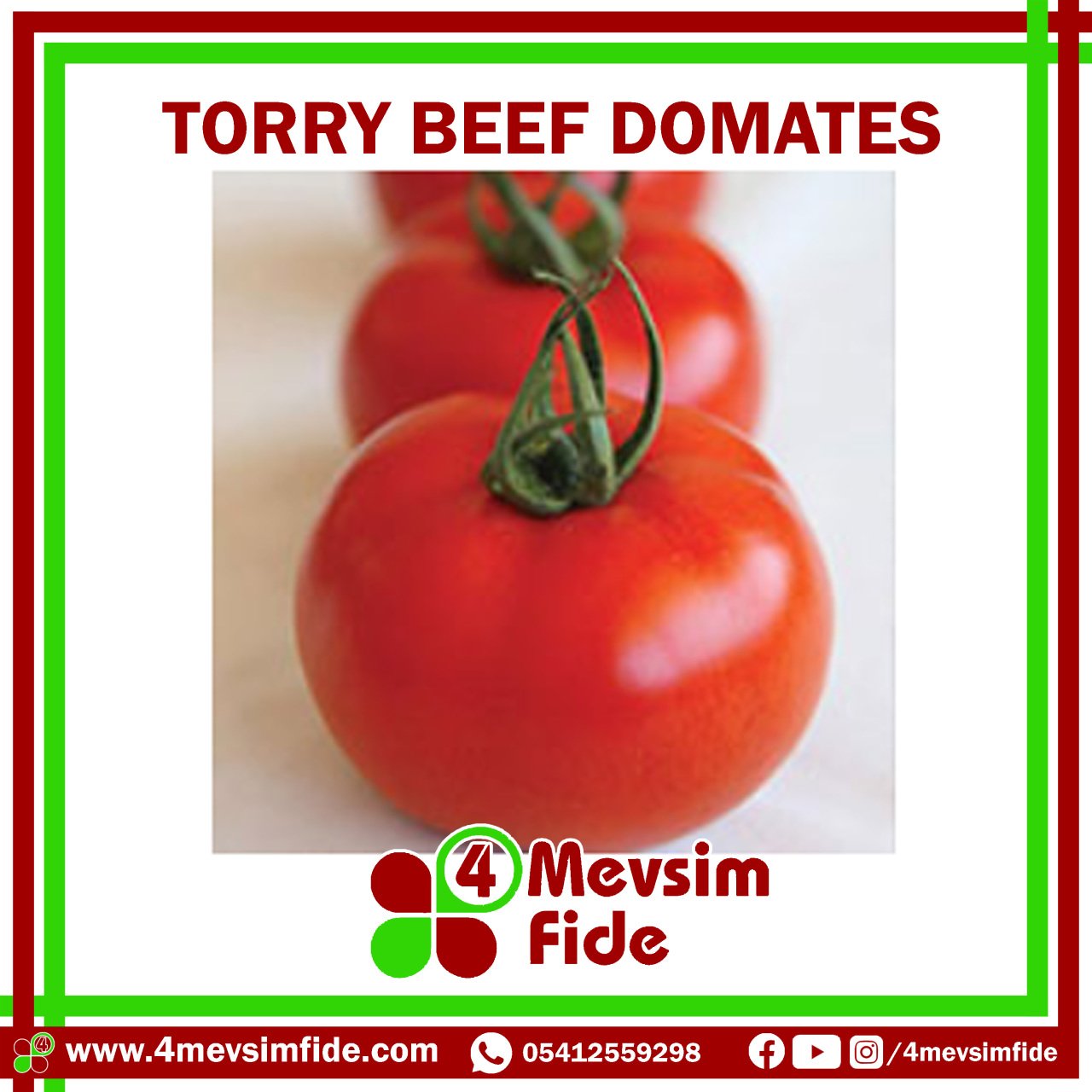 Torry F1 Beef Domates Fidesi