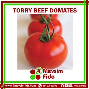 Torry F1 Beef Domates Fidesi/AŞILI