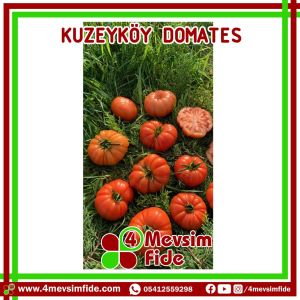 Kuzeyköy F1 Domates Fidesi/AŞILI