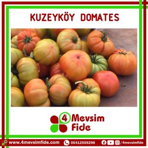 Kuzeyköy F1 Domates Fidesi/AŞILI