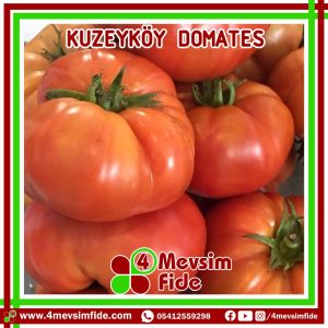 Kuzeyköy F1 Domates Fidesi/AŞILI