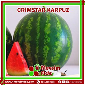 Crimstar F1 Karpuz Fidesi