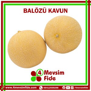 Balözü F1 Kavun Fidesi