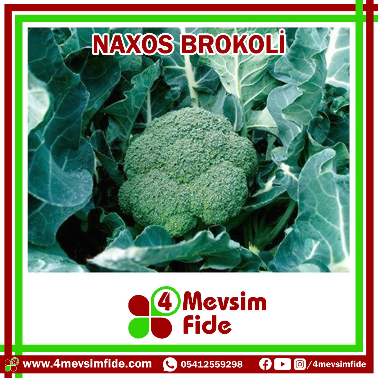 Naxos F1 Brokoli Fidesi