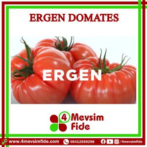 Ergen F1 Köy Domates Fidesi/AŞILI