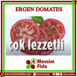 Ergen F1 Köy Domates Fidesi/AŞILI