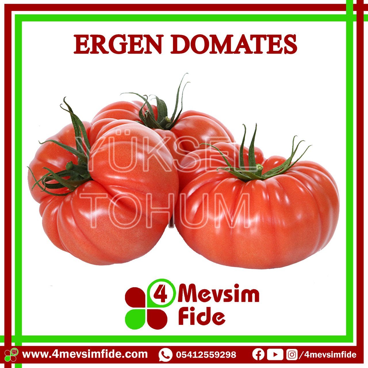 Ergen F1 Köy Domates Fidesi/AŞILI