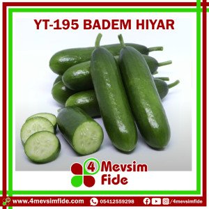 YT-195 F1 Badem Hıyar Fidesi