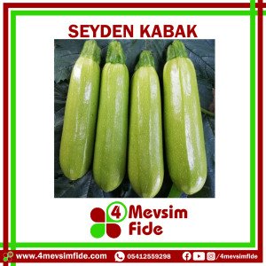 Seyden F1 Kabak Fidesi