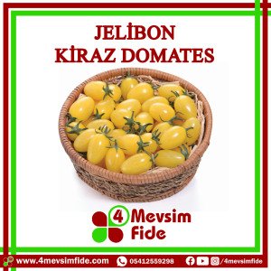 Jelibon F1 Kiraz Domates Fidesi