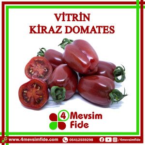 Vitrin F1 Sırık Kiraz Domates Fidesi