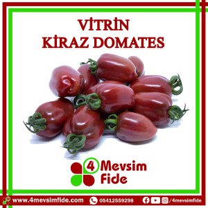 Vitrin F1 Sırık Kiraz Domates Fidesi