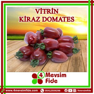 Vitrin Sırık Kiraz Domates Tohumu 1000 Adet