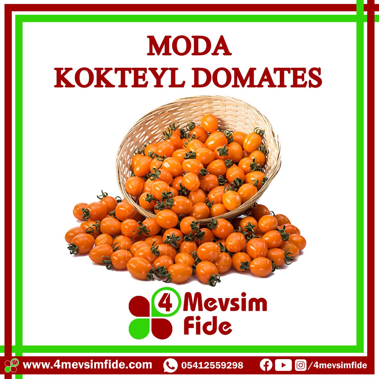 Moda F1 Kokteyl Domates Fidesi