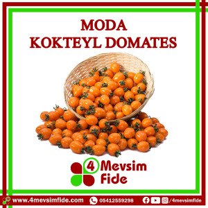 Moda F1 Kokteyl Domates Fidesi