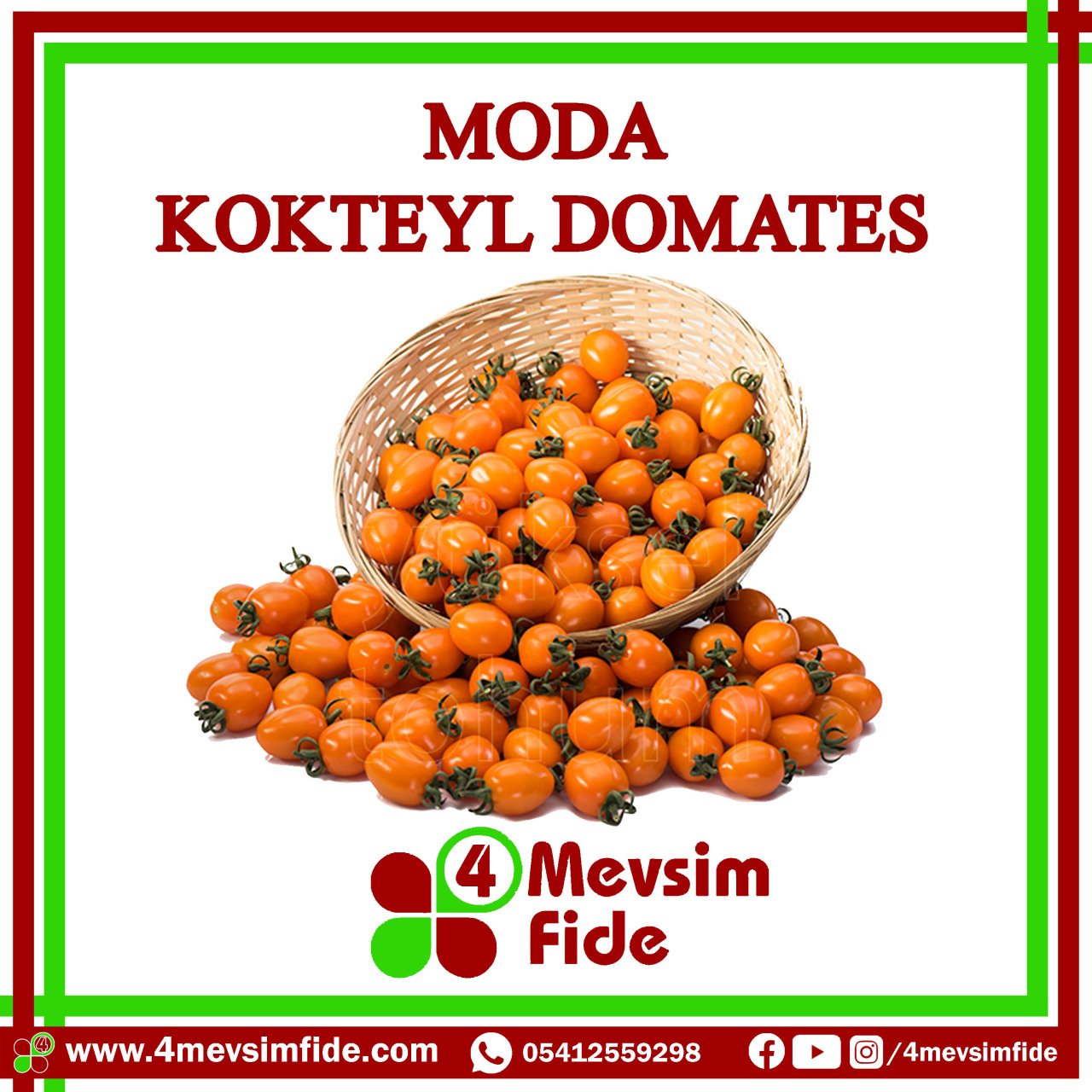 Moda Kokteyl Domates Tohumu  1000 Adet