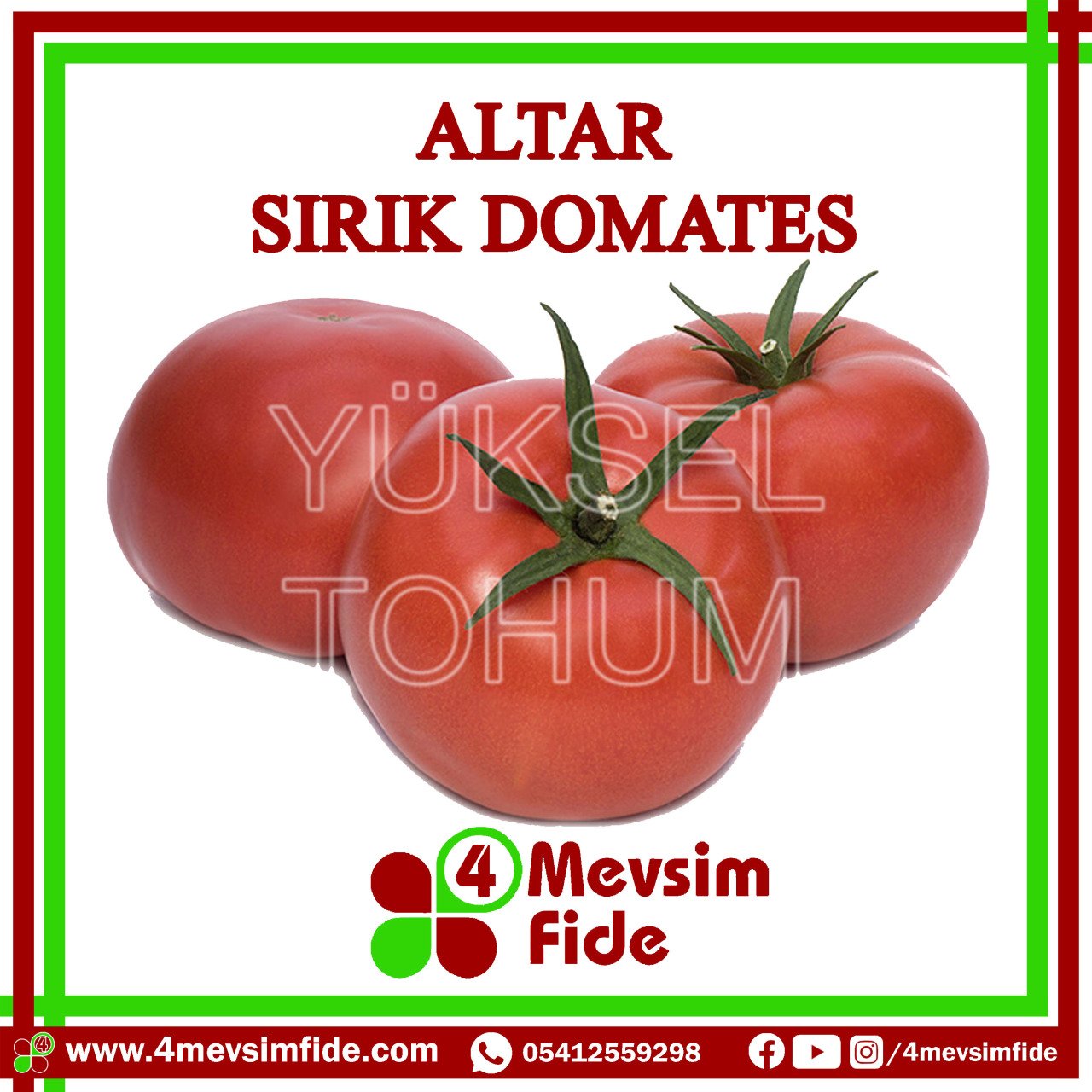Altar Sırık Domates Tohumu  1000 Adet