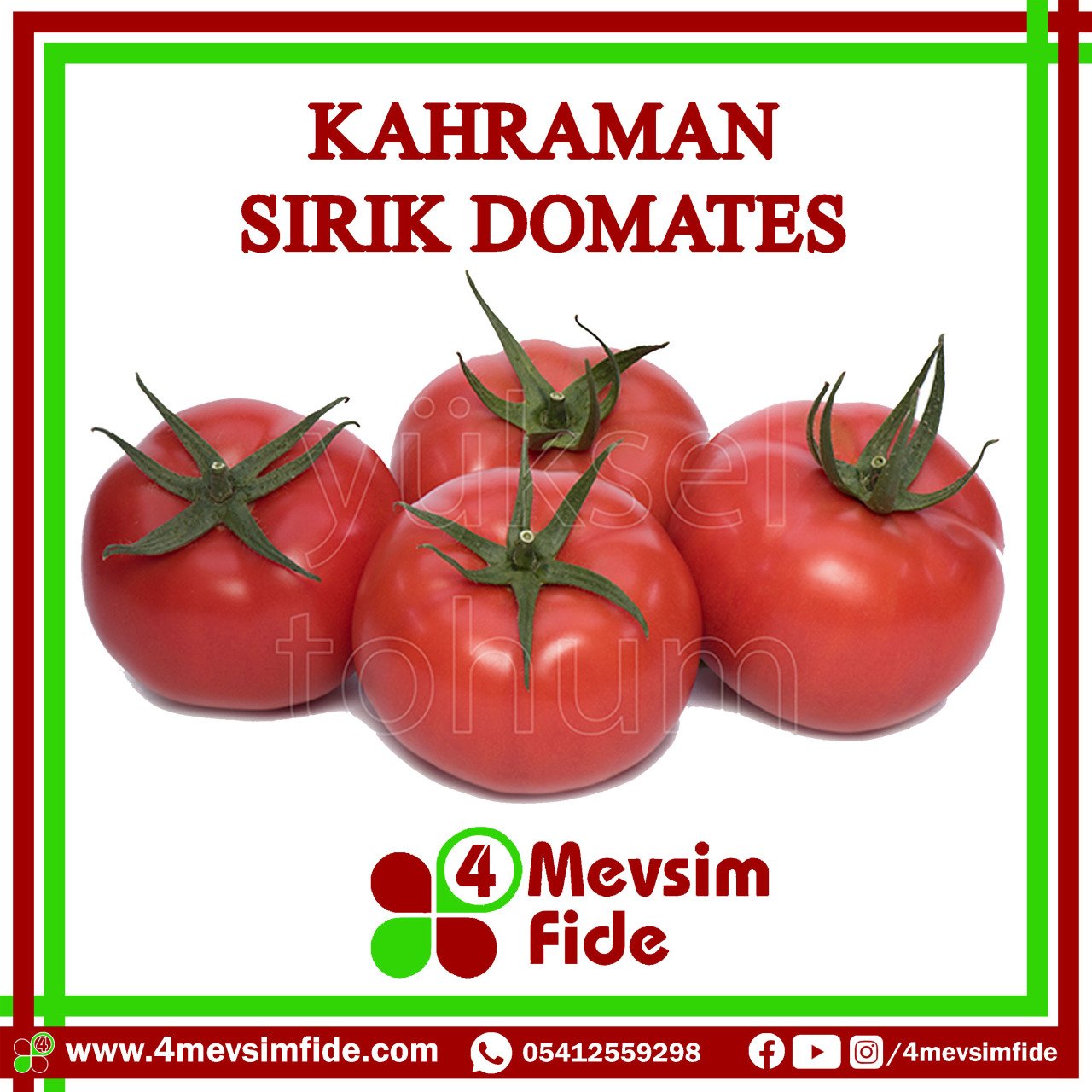 Kahraman Sırık Domates Tohumu  1000 Adet