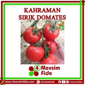 Kahraman Sırık Domates Tohumu  1000 Adet