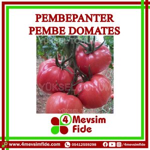 Pembepanter F1 Pembe Domates Fidesi