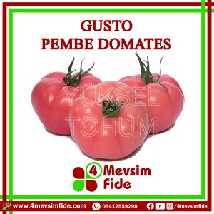Gusto Pembe Domates Tohumu 1000 Adet