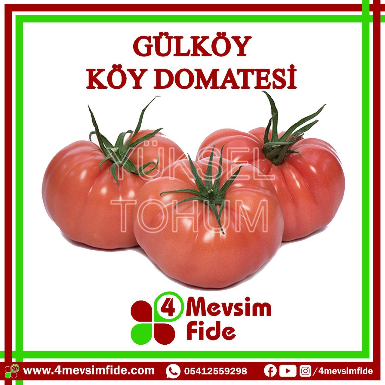 Gülköy Köy Domatesi Tohumu 1000 Adet