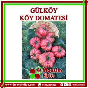 Gülköy F1 Köy Domates Fidesi