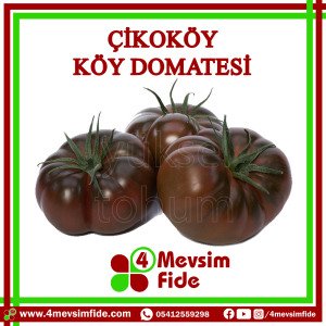 Çikoköy Köy Domates Tohumu 1000 Adet
