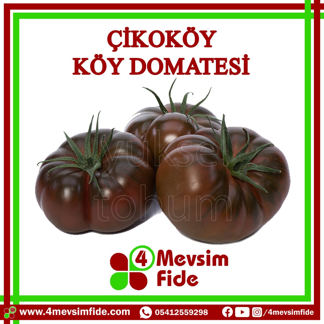 Çikoköy F1 Köy Domates Fidesi