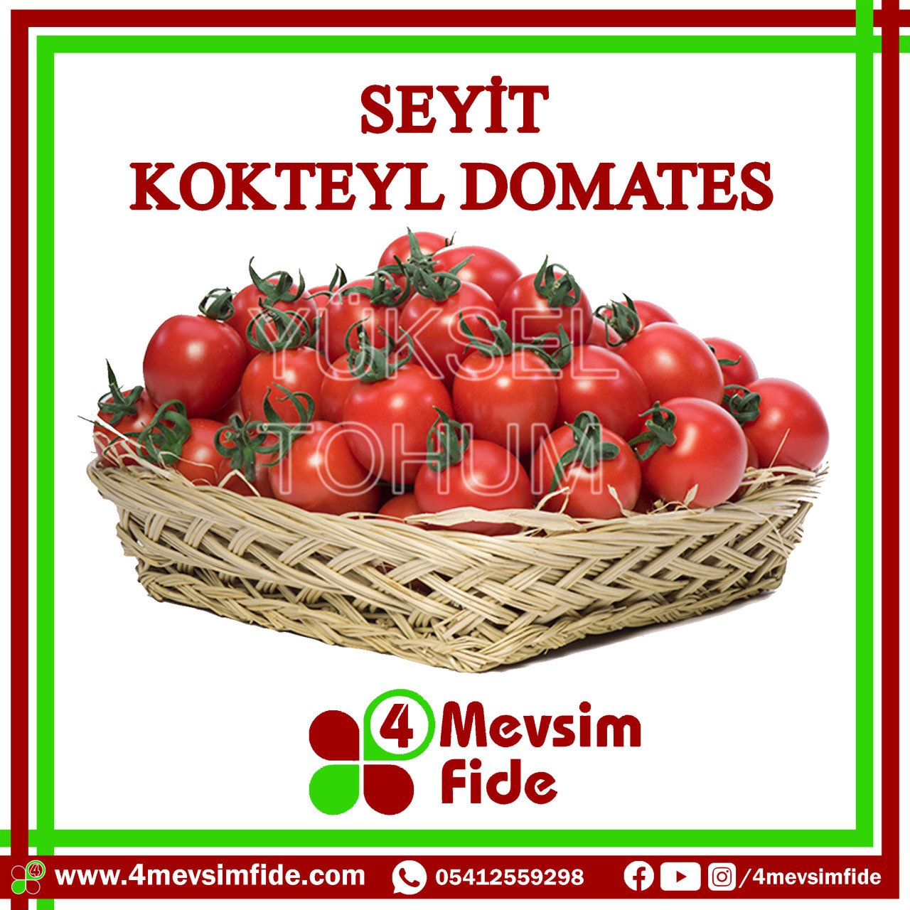 Seyit Kokteyl Domates Tohumu 1000 Adet