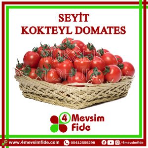 Seyit Kokteyl Domates Tohumu 1000 Adet