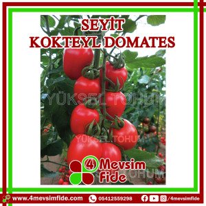 Seyit Kokteyl Domates Tohumu 1000 Adet