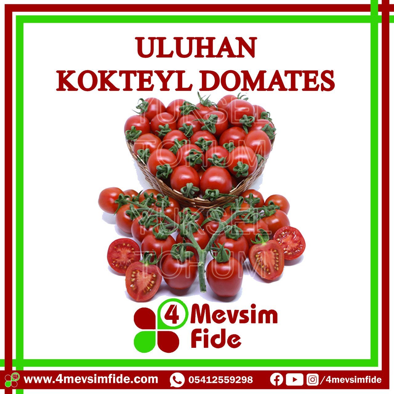 Uluhan Kokteyl Domates Tohumu 1000 Adet