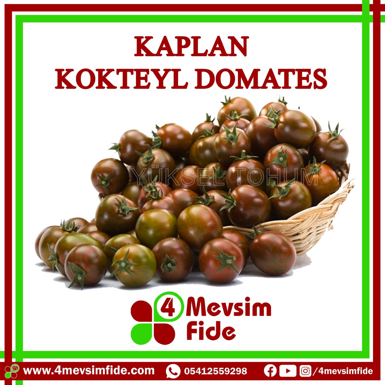 Kaplan F1 Kokteyl Domates Fidesi