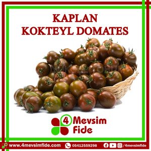 Kaplan Kokteyl Domates Tohumu 1000 Adet