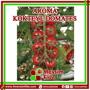 Aroma Kokteyl Domates Tohumu 1000 Adet