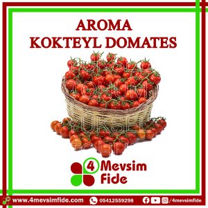 Aroma Kokteyl Domates Tohumu 1000 Adet