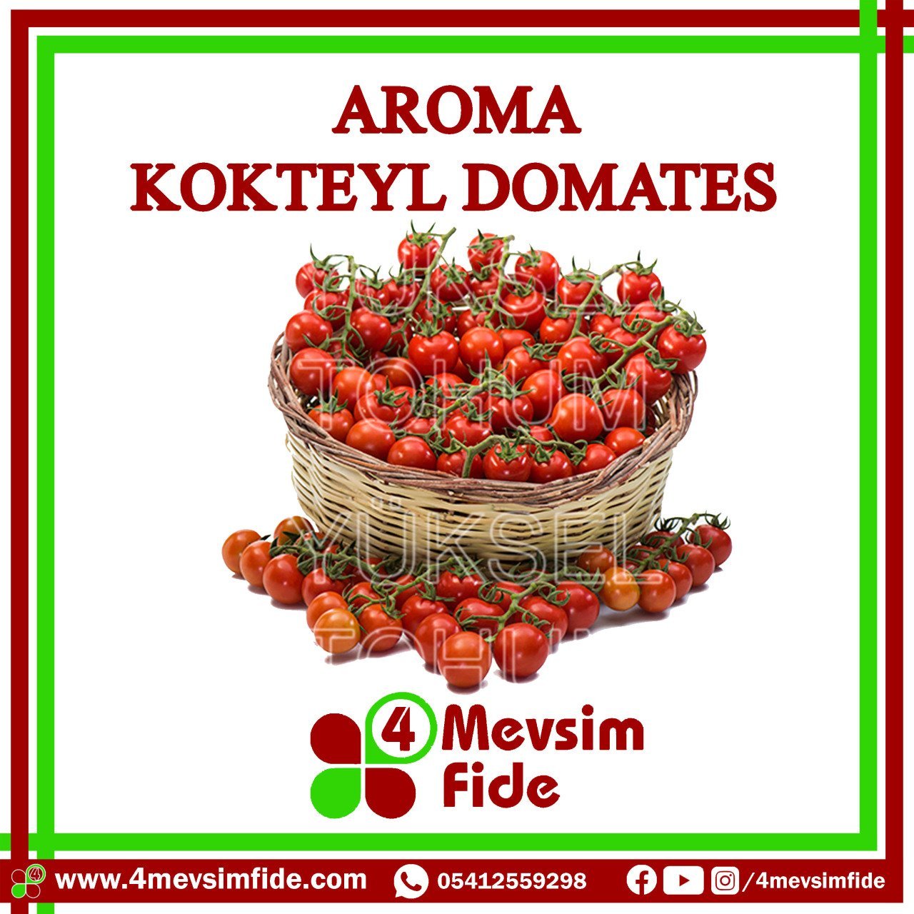Aroma F1 Kokteyl Domates Fidesi