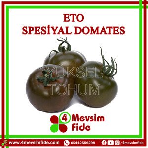 Eto F1 Spesiyal Domates Fidesi