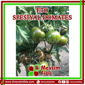 Eto F1 Spesiyal Domates Fidesi