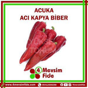 Acuka F1 Acı Kapya Biber Fidesi